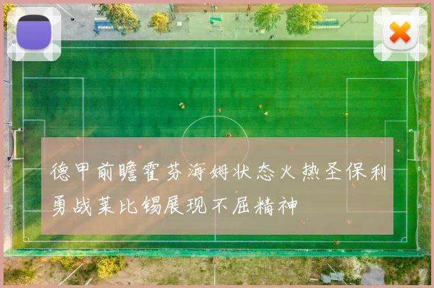 德甲前瞻霍芬海姆状态火热圣保利勇战莱比锡展现不屈精神
